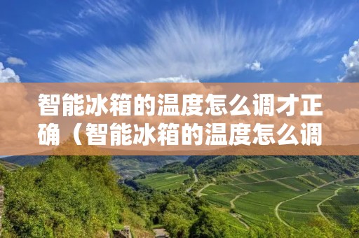 智能冰箱的温度怎么调才正确(智能冰箱的温度怎么调才正确视频)