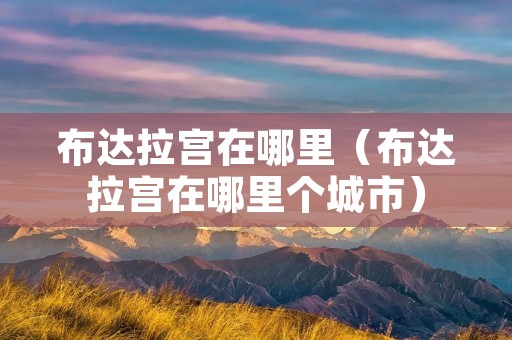 布达拉宫在哪里（布达拉宫在哪里个城市）