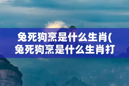 兔死狗烹是什么生肖(兔死狗烹是什么生肖打一动物生肖)