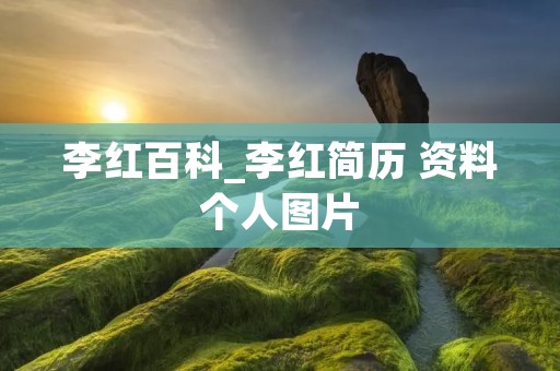 李红百科_李红简历 资料个人图片