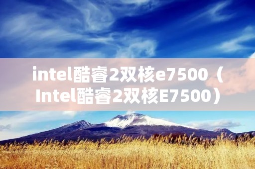 intel酷睿2双核e7500(Intel酷睿2双核E7500) intel酷睿2双核e7500(Intel酷睿2双核E7500)