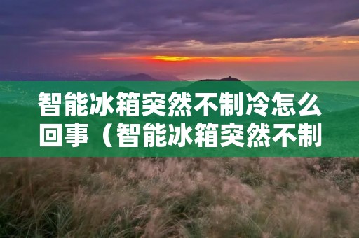 智能冰箱突然不制冷怎么回事(智能冰箱突然不制冷怎么回事视频)