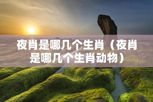 夜肖是哪几个生肖（夜肖是哪几个生肖动物）