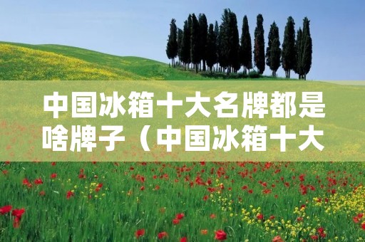 中国冰箱十大名牌都是啥牌子(中国冰箱十大名牌有哪些)