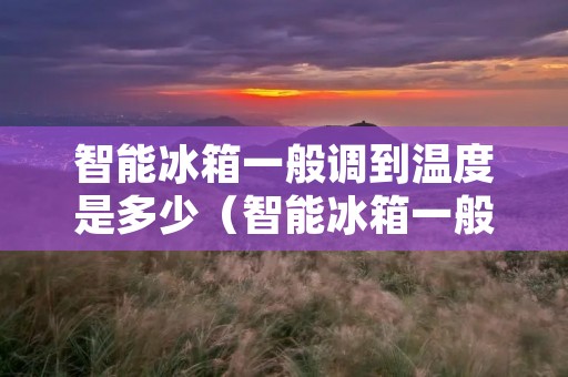 智能冰箱一般调到温度是多少(智能冰箱一般调到温度是多少度合适)
