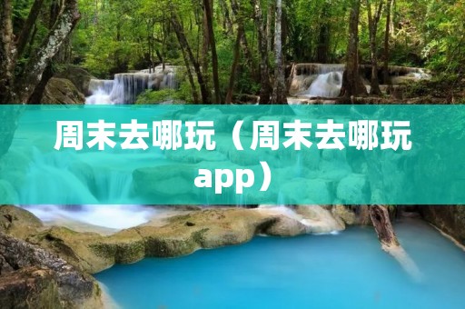 周末去哪玩（周末去哪玩app）