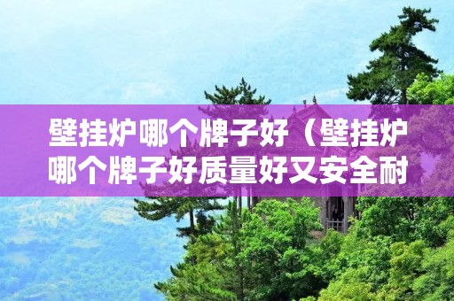 壁挂炉哪个牌子好（壁挂炉哪个牌子好质量好又安全耐用）