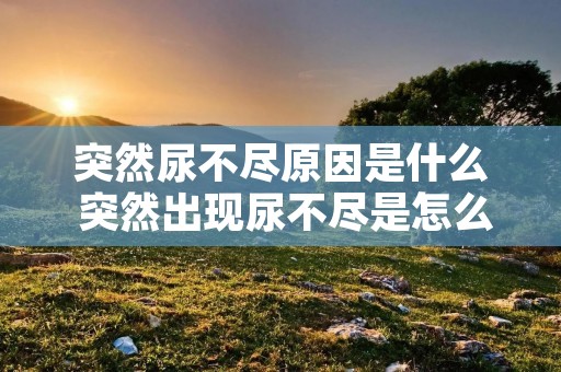 突然尿不尽原因是什么 突然出现尿不尽是怎么回事