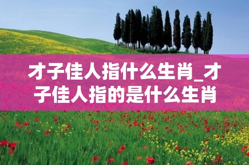 才子佳人指什么生肖_才子佳人指的是什么生肖