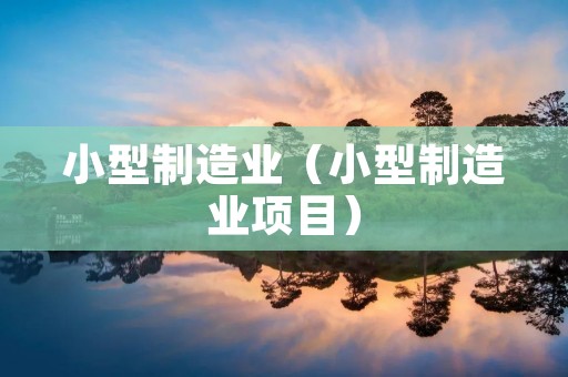 小型制造业(小型制造业项目) 小型制造业(小型制造业项目)