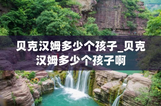 贝克汉姆多少个孩子_贝克汉姆多少个孩子啊