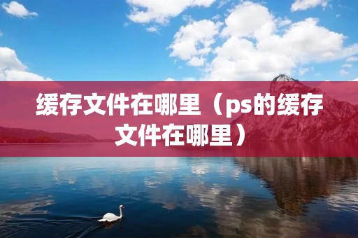 缓存文件在哪里（ps的缓存文件在哪里）