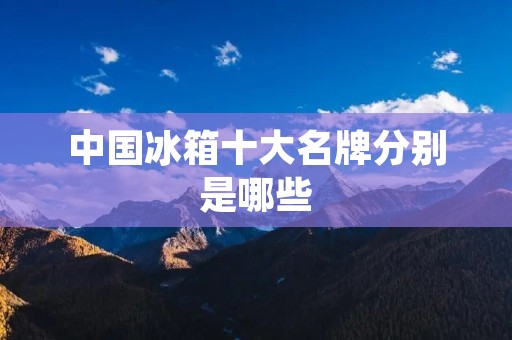 中国冰箱十大名牌分别是哪些