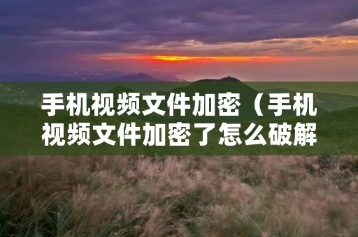 手机视频文件加密（手机视频文件加密了怎么破解）