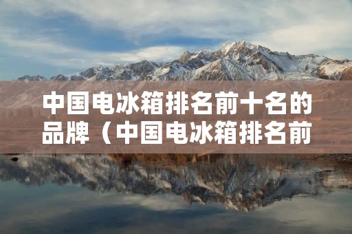 中国电冰箱排名前十名的品牌(中国电冰箱排名前十名的品牌是什么)