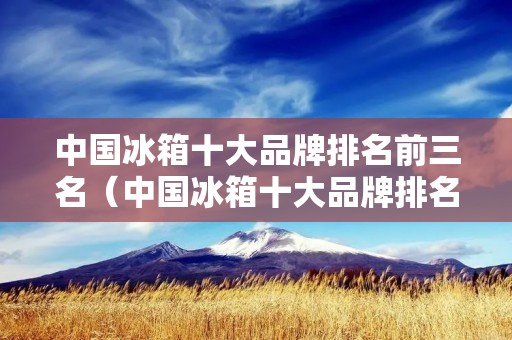 中国冰箱十大品牌排名前三名(中国冰箱十大品牌排名前三名)