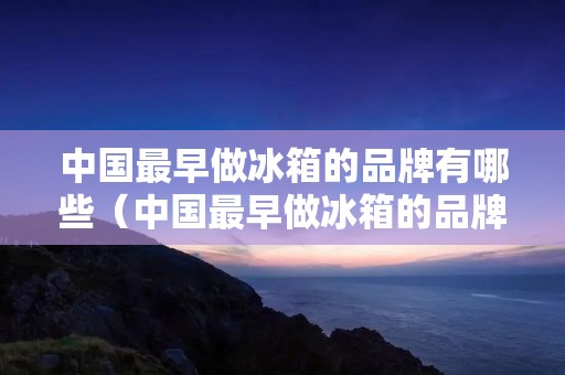 中国最早做冰箱的品牌有哪些(中国最早做冰箱的品牌有哪些呢)