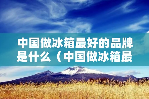 中国做冰箱最好的品牌是什么(中国做冰箱最好的品牌是什么牌子)