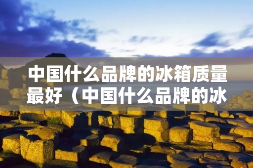 中国什么品牌的冰箱质量最好(中国什么品牌的冰箱质量最好最安全)