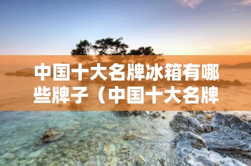 中国十大名牌冰箱有哪些牌子(中国十大名牌冰箱有哪些牌子的)