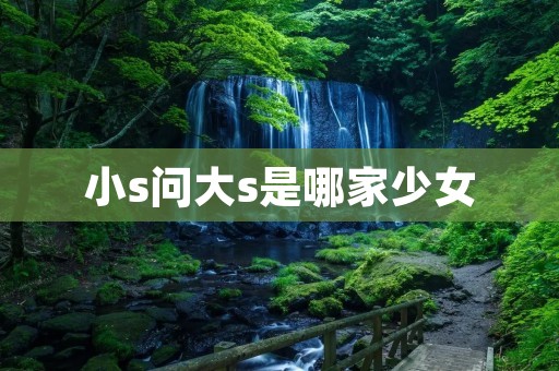 小s问大s是哪家少女