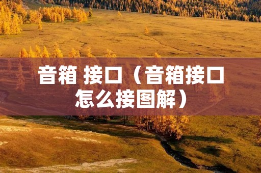 音箱 接口(音箱接口怎么接图解) 音箱 接口(音箱接口怎么接图解)