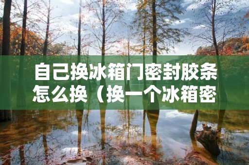 自己换冰箱门密封胶条怎么换(换一个冰箱密封条多少钱)