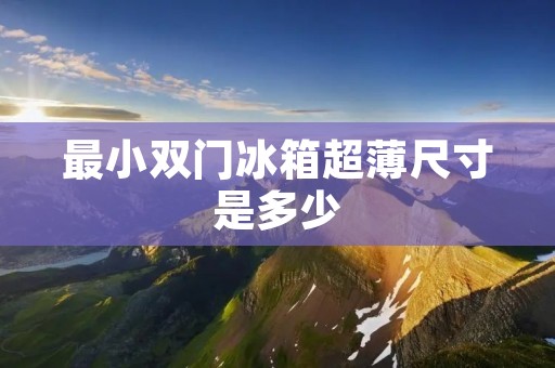 最小双门冰箱超薄尺寸是多少