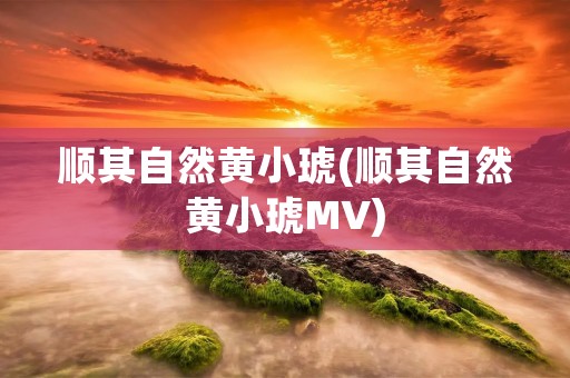 顺其自然黄小琥(顺其自然黄小琥MV)