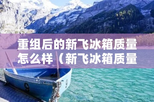 重组后的新飞冰箱质量怎么样(新飞冰箱质量好吗?)