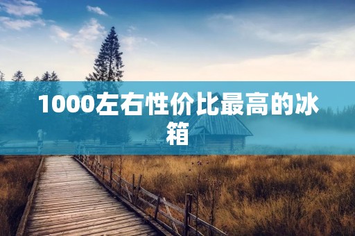 1000左右性价比最高的冰箱
