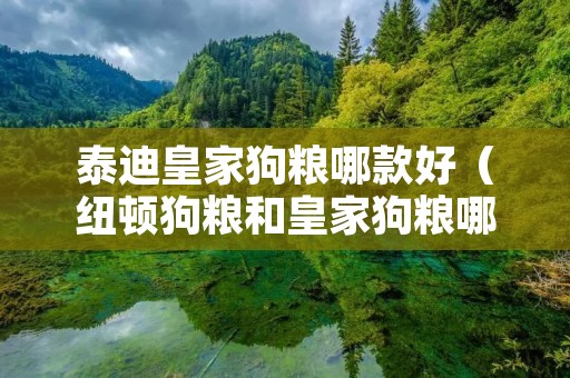 泰迪皇家狗粮哪款好（纽顿狗粮和皇家狗粮哪个好）