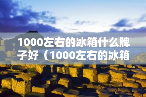 1000左右的冰箱什么牌子好(1000左右的冰箱什么牌子好又实惠)