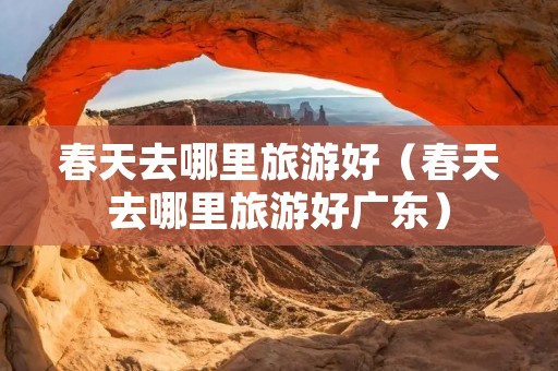 春天去哪里旅游好（春天去哪里旅游好广东）