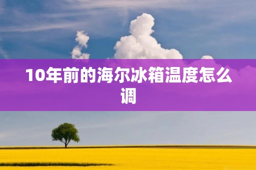 10年前的海尔冰箱温度怎么调