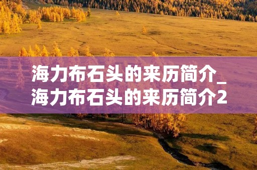 海力布石头的来历简介_海力布石头的来历简介20字 海力布石头的来历简介_海力布石头的来历简介20字