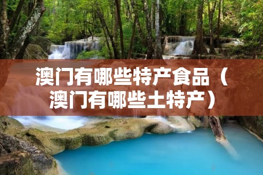 澳门有哪些特产食品（澳门有哪些土特产）