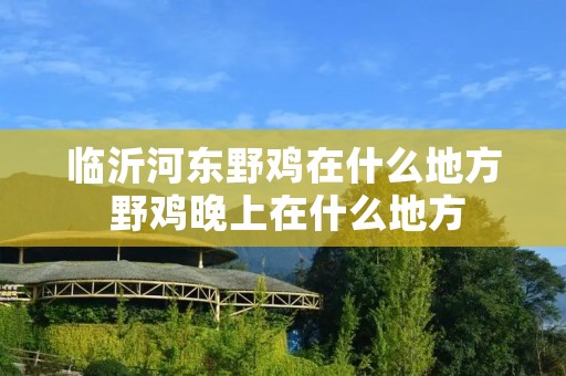 临沂河东野鸡在什么地方 野鸡晚上在什么地方