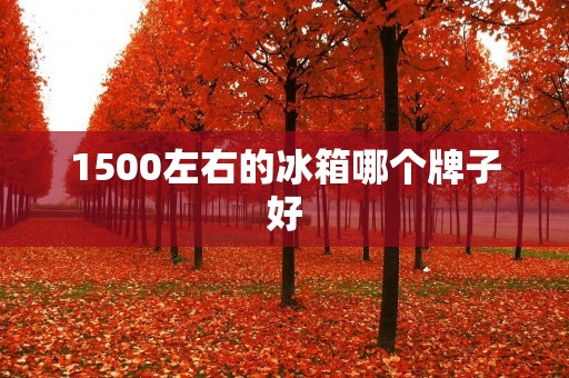1500左右的冰箱哪个牌子好