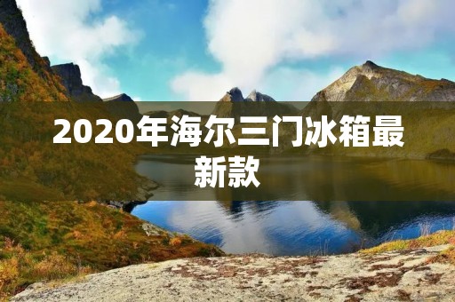 2020年海尔三门冰箱最新款