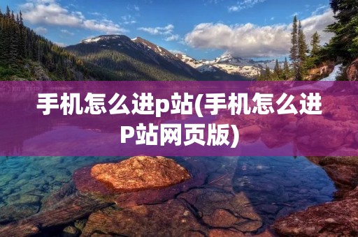 手机怎么进p站(手机怎么进P站网页版)