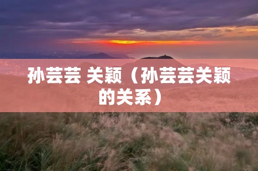 孙芸芸 关颖(孙芸芸关颖的关系)