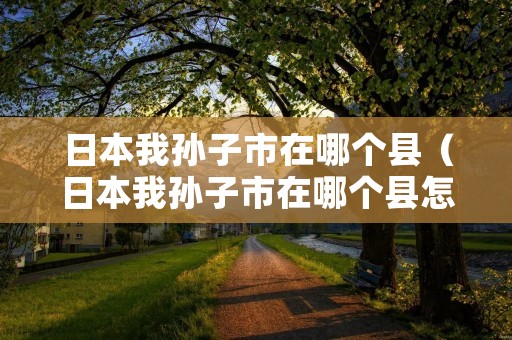 日本我孙子市在哪个县（日本我孙子市在哪个县怎么设置）