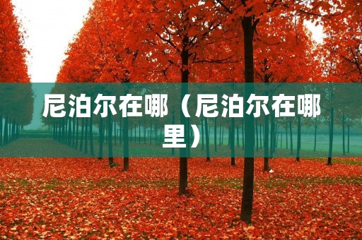 尼泊尔在哪（尼泊尔在哪里）