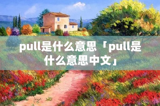 pull是什么意思「pull是什么意思中文」