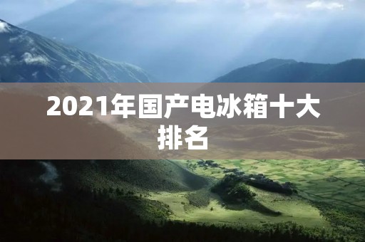 2021年国产电冰箱十大排名