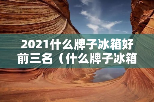 2021什么牌子冰箱好前三名（什么牌子冰箱好排名第一）