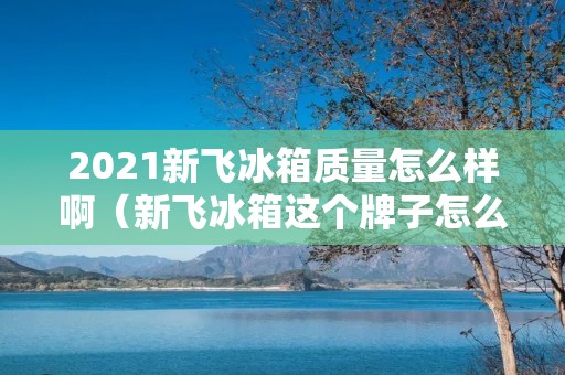 2021新飞冰箱质量怎么样啊（新飞冰箱这个牌子怎么样）