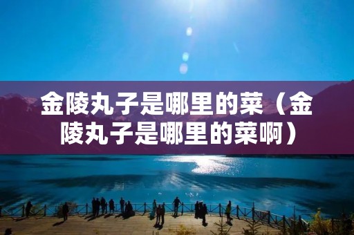 金陵丸子是哪里的菜（金陵丸子是哪里的菜啊）