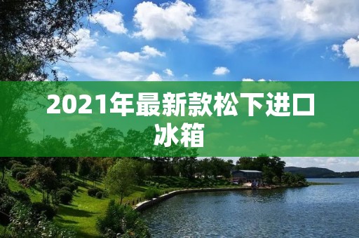 2021年最新款松下进口冰箱